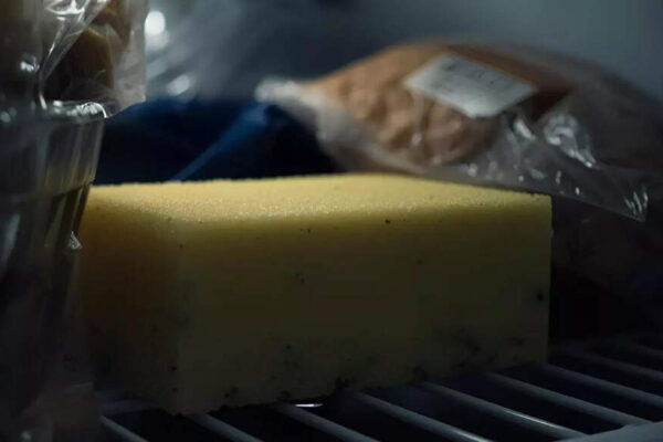Why does a simple damp sponge keep your fridge fresher than any expensive product |