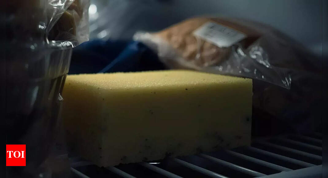 Why does a simple damp sponge keep your fridge fresher than any expensive product |