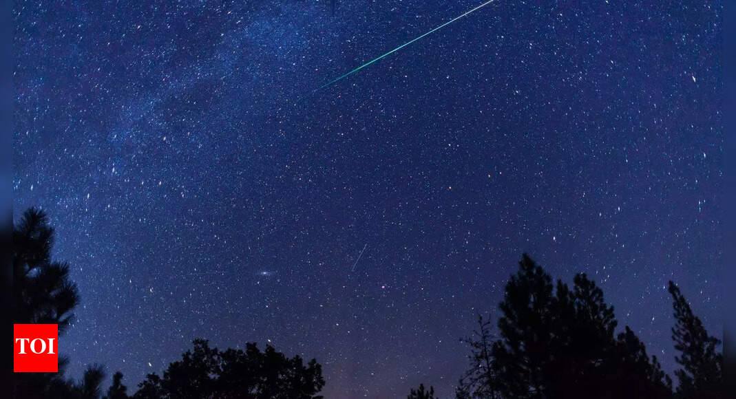 When and how you can see the 2025 Leonid meteor shower in November 2025