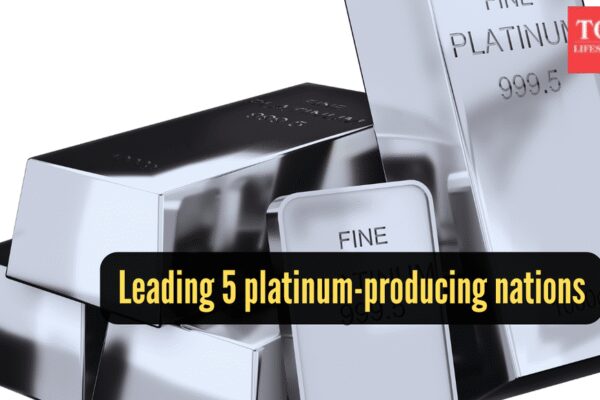 Trade watch: Govt tightens curbs on platinum jewellery; move targets FTA misuse