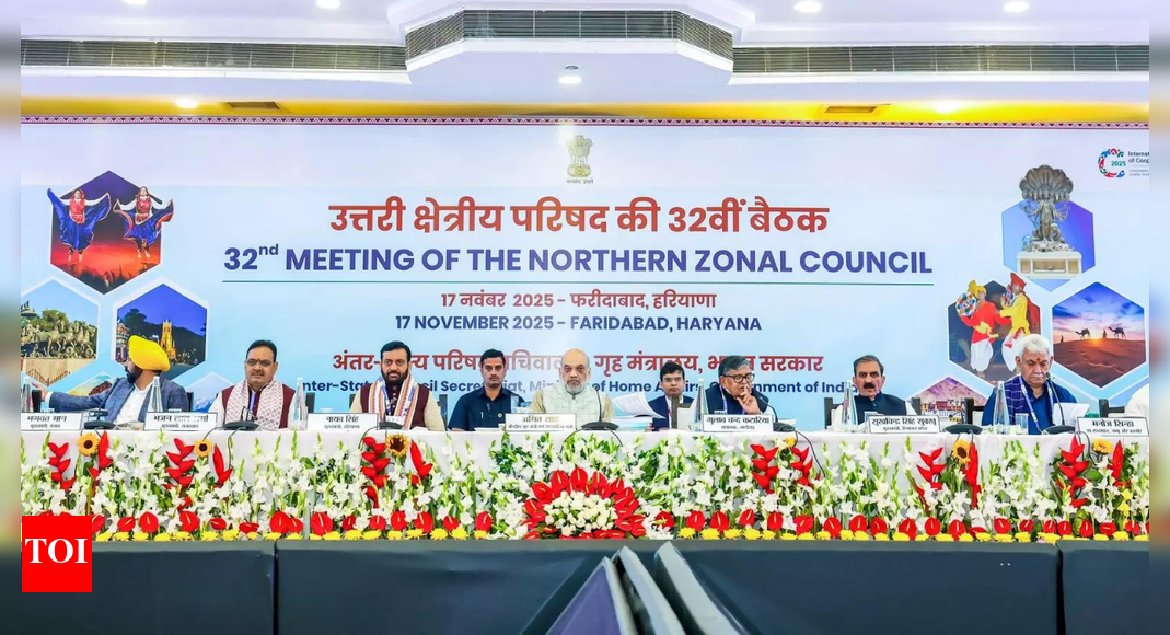 NEW DELHI: Reiterating the “collective commitment” of the Narendra Modi government to eliminating terrorism from its root, home minister Amit Shah on Monday said culprits of the Nov 10 car bomb blast in Delhi shall be traced from the depths of the netherworld, produced before the judicial system and handed the strictest possible punishment.Addressing the 32nd meeting of the northern zonal council (NZC) in Faridabad, Haryana — attended by chief ministers, Lieutenant Governors and administrators of several northern states — Shah said the zonal councils, which are sub-groups of the Inter-State Council that meet from time to time to resolve inter-state and Centre-state issues, have played an important role in realising Prime Minister Modi’s vision of strong nation made up of strong states. These zonal councils, he underlined, are extremely important for dialogue, cooperation, coordination, and ‘policy synergy’.During the meeting, Shah, along with the chief ministers of Haryana, Punjab, Himachal Pradesh, J&K, Rajasthan and Delhi; LGs of J&K, Delhi and Ladakh; and the administrator of Chandigarh, observed two minutes’ silence as a tribute to the victims of the Delhi car bomb blast and the recent explosion at Nowgam police station in J&K.Emphasising the continued need for all-out efforts to ensure speedy justice in crimes against women and children and also eradicate malnutrition and stunting, Shah called for speedy investigation in cases of sexual offences and rape under the POCSO Act, besides seeking an increase in the number of fast-track special courts.Referring to the implementation of the three new criminal laws, the home minister said that their enforcement has yielded very positive results. He requested all the state/UT governments to employ technology to boost investigation and forensic analysis and achieve online linking of courts.The home minister said that while the original spirit and role of zonal councils is advisory, they have been accepted over the past decade as action-oriented platforms that have delivered results.Shah said that, as compared to 2004–2014, the number of zonal council meetings has risen two-and-a-half times from 25 in 2014 to 64 in 2025. He said this jump reflects “PM Modi’s concept of TEAM Bharat”. He credited the states, UTs, central ministries and departments and the Inter-State Council for having discussed 1,600 issues and resolving 1,303 issues (81.43%) thus far.Among the issues of national importance taken up by the northern zonal council on Monday are urban master planning, power supply system, strengthening of primary agricultural credit societies (PACSs), eliminating malnutrition in children, reducing school dropout rates, and participation of public hospitals in the Ayushman Bharat-Pradhan Mantri Jan Arogya Yojana.About the AuthorBharti JainBharti Jain is senior editor with The Times of India, New Delhi. She has been writing on security matters since 1996. Having covered the Union home ministry, security agencies, Election Commission and the ‘prime’ political beat, the Congress, for The Economic Times all these years, she moved to TOI in August 2012. Her repertoire of news stories delves into the whole gamut of issues related to terrorism and internal strife, besides probing strategic affairs in India’s neighbourhood.Read MoreEnd of ArticleFollow Us On Social MediaVideosIndia Doubles Down On Russian Oil Imports Despite U.S. Sanctions HeatBangladesh Seeks Hasina’s Return As India Notes ICT Tribunal Verdict, Calls For Peace And Stability’This Generation Can Bring Viksit Bharat Before 2047′: Army Chief Dwivedi’s Message To Gen ZHasina Verdict Sparks Outrage as Ex-Indian Envoy Questions Evidence and Awami League Cries Black DayPak Army Chief Asim Munir Vows ‘Strong Response’, Army Chief Dwivedi Warns Op Sindoor Was A TrailerPM Modi Condoles Families as 45 Indians Feared Dead in Saudi Bus CrashOusted Bangladesh PM Hasina Calls ICT’s Death Sentence ‘Rigged’, Says It Denied Fair Trial RightsFrench Consulate Staffer Molested In Bandra As Mumbai Police Launch Rapid Hunt To Track The SuspectAfter 5th August 2019…’ Army Chief Counters Mehbooba’s Charge Against Centre Over J&K SituationChennai Gripped By Panic As Bomb Threats Target MK Stalin, Ajith Kumar, Top Tamil Nadu Personalities123PhotostoriesFrom wanting to find a boyfriend in Bigg Boss Marathi to their age-gap; Nikki Tamboli and Arbaz Patel open up about their love story3 common mistakes to avoid while consuming fruits and why5 stunning purple coloured animals that seem to be painted by artistsFrom playgrounds to healthy lifestyle: Sachin Tendulkar’s parenting tips for today’s familiesFrom ‘Sacred Games’ to ‘Panchayat’: Web series that turned Pankaj Tripathi, Manoj Bajpayee, Jaideep Ahlawat and others into digital icons7 addictions one should break to become their best selfMalaika Arora to Demi Moore: 5 must-see looks of the day ruling the style charts4 powerful Indian homemade drinks to lower uric acid levels and how to make them at homeFive-letter Indian baby names that sound modern and classyBharti Singh gets emotional as she gets a surprise baby shower from Laughter Chefs team; friends Krushna Abhishek, Tejasswi Prakash, Jannat Zubair and others attend the bash123Hot PicksDelhi AQI TodaySheikh Hasina VerdictBihar Government FormationGold rate todaySilver rate todayPublic Holidays NovemberBank Holidays NovemberTop TrendingKayla NicoleAaron Rodgers InjuryShedeur SandersDubai Prince Sheikh Hamdan Net WorthRohini AcharyaDraymond GreenLebron JamesPaige GrecoZelina VegaCharlie Mcavoy Injury