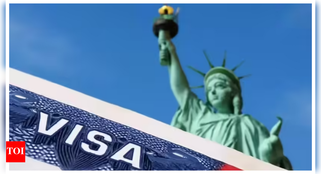 Despite visa troubles, Indian students on US campuses up 10%; largest international group in 2024-25