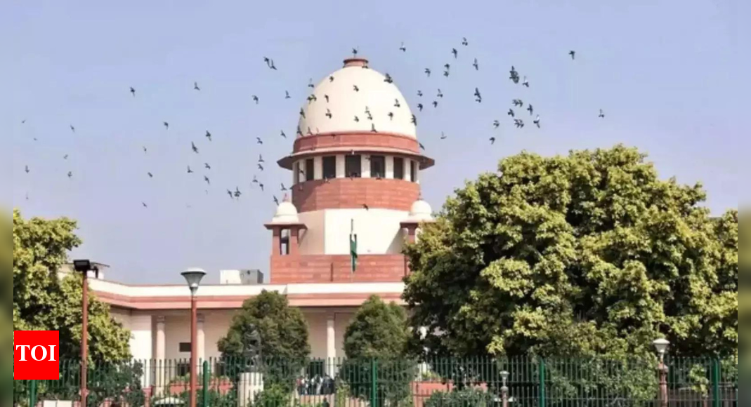 The Supreme Court expressed concern over states permitting liquor sales in small tetra packs, likening them to juice containers and highlighting potential risks to children. This issue emerged during a trademark dispute between whisky producers Allied Blenders and John Distillers, where tetra packs constitute a significant portion of sales in some regions.  NEW DELHI: With a fight over trademark between two major whisky producers revealing that a major part of their sales is through small tetra packs in south-west India, a startled Supreme Court on Monday wondered why states are permitting such packaging of liquor.”This is very dangerous. It looks like a juice tetra pack. Imagine it falling into the hands of children? The parents and teachers won’t even suspect that tetra packs contain intoxicants,” said a concerned bench of CJI-designate Surya Kant and Justice Joymalya Bagchi.The case involved Allied Blenders, which manufactures ‘Officer’s Choice’, and John Distillers, which markets its whisky under the brand name ‘Original Choice’. Appearing for John Distillers, senior advocate Mukul Rohatgi said that both companies have more than Rs 30,000 crore of sales and that in Karnataka alone tetra packs account for 65% of the business.In an interesting turn to their business rivalry, both companies had approached the Intellectual Property Appellate Board (IPAB) seeking rectification of trademarks used by each other. By a common order, the IPAB had dismissed both petitions saying there was nothing so similar in the trademarks as to confuse consumers.However, on Nov 7, a division bench of Madras HC ordered rectification of ‘Original Choice’ trademark for its similarities with ‘Officer’s choice’. This was challenged before SC, where bottles of various shapes and tetra packs were shown to the bench.With advocates Harish Salve, A M Singhvi and N K Kaul representing Allied Blenders pitted against Mukul Rohatgi and Shyam Divan appearing for John Distillers, the bench asked, “Despite the ferocious fighting in different forums, is there a chance of compromise?”With both parties agreeing to attempt a compromise through mediation, the bench requested retired SC judge L Nageswara Rao to act as a mediator to reach an amicable settlement over the high-spirited dispute over the label on whisky products of both companies.End of ArticleFollow Us On Social MediaVideosJaishankar, Russian FM Lavrov Hold Key Talks in Moscow Ahead of Putin’s India Visit ‘In 3 Weeks’India Doubles Down On Russian Oil Imports Despite U.S. Sanctions HeatBangladesh Seeks Hasina’s Return As India Notes ICT Tribunal Verdict, Calls For Peace And Stability’This Generation Can Bring Viksit Bharat Before 2047’: Army Chief Dwivedi’s Message To Gen ZHasina Verdict Sparks Outrage as Ex-Indian Envoy Questions Evidence and Awami League Cries Black DayPak Army Chief Asim Munir Vows ‘Strong Response’, Army Chief Dwivedi Warns Op Sindoor Was A TrailerPM Modi Condoles Families as 45 Indians Feared Dead in Saudi Bus CrashOusted Bangladesh PM Hasina Calls ICT’s Death Sentence ‘Rigged’, Says It Denied Fair Trial RightsFrench Consulate Staffer Molested In Bandra As Mumbai Police Launch Rapid Hunt To Track The SuspectAfter 5th August 2019…’ Army Chief Counters Mehbooba’s Charge Against Centre Over J&K Situation123PhotostoriesNayanthara birthday special: Social media moments with Vignesh Shivan and the twinsLemon, olive oil and more: 7 natural remedies to help relieve constipationZubeen Garg’s birth anniversary special: Films that define his cinematic journeyWhat happens when you eat garlic soaked in matha (buttermilk)This simple at-home test can reveal how fast your digestive system worksWorld’s 5 underrated travel destinations to bookmark, and whyFrom wanting to find a boyfriend in Bigg Boss Marathi to their age-gap; Nikki Tamboli and Arbaz Patel open up about their love story3 common mistakes to avoid while consuming fruits and why5 stunning purple coloured animals that seem to be painted by artistsFrom playgrounds to healthy lifestyle: Sachin Tendulkar’s parenting tips for today’s families123Hot PicksDelhi AQI TodaySheikh Hasina VerdictBihar Government FormationGold rate todaySilver rate todayPublic Holidays NovemberBank Holidays NovemberTop TrendingQTCinderellaTravis KelceKlay ThompsonAuston Matthews Net WorthDana WhiteDraymond GreenLebron JamesPaige GrecoZelina VegaCharlie Mcavoy Injury