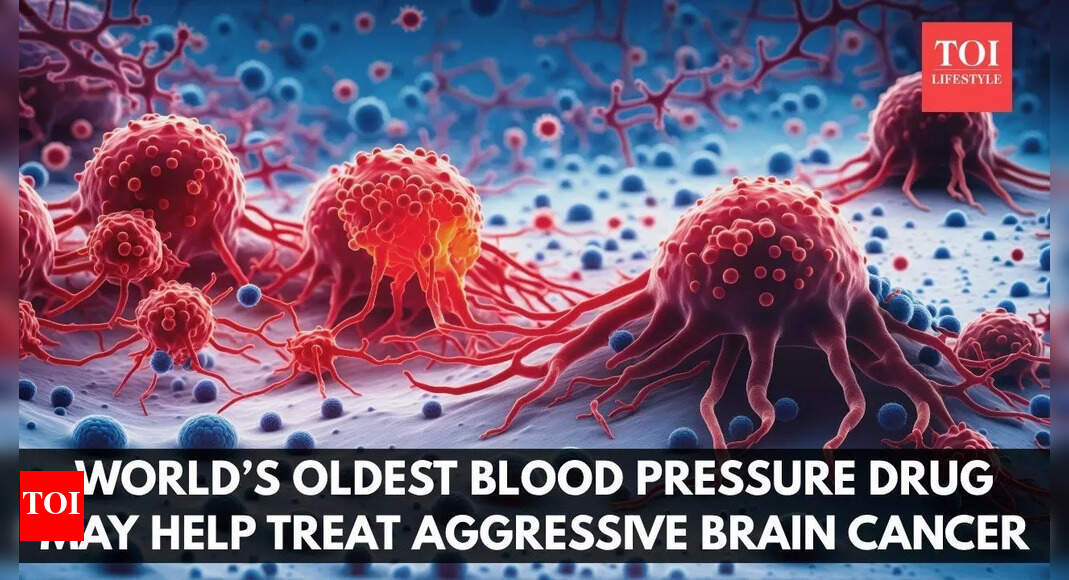 World’s oldest blood pressure drug may help treat aggressive brain tumour |