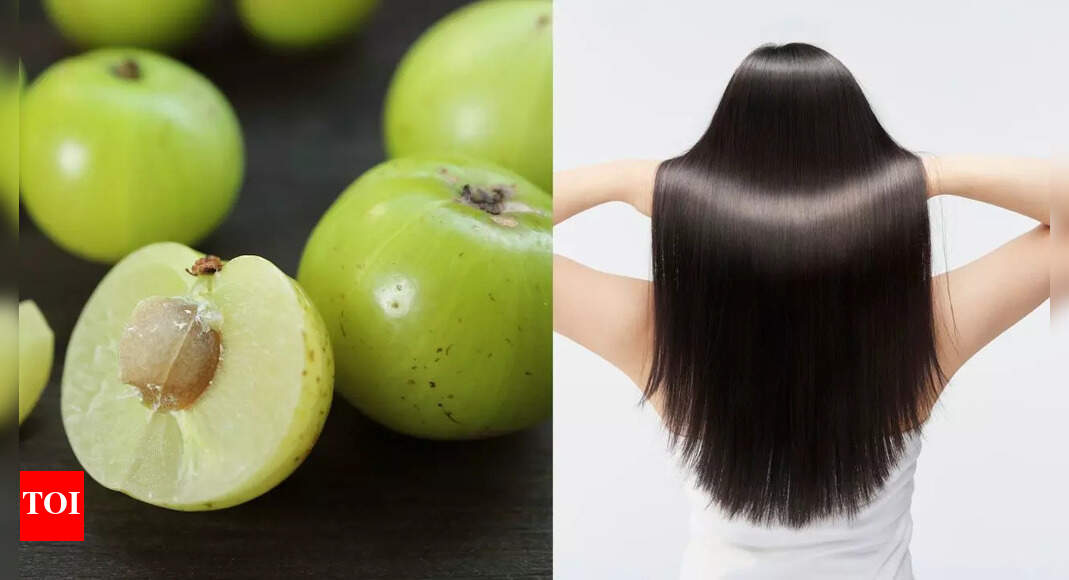 How to use amla for hair growth: Effective oils, hair masks, rinses, and daily use tips |