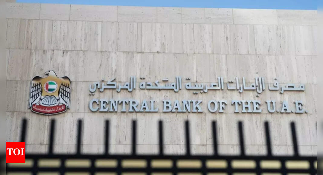 UAE Central Bank new rules for Personal Loan: Now you can apply for a loan without a salary slip | World News