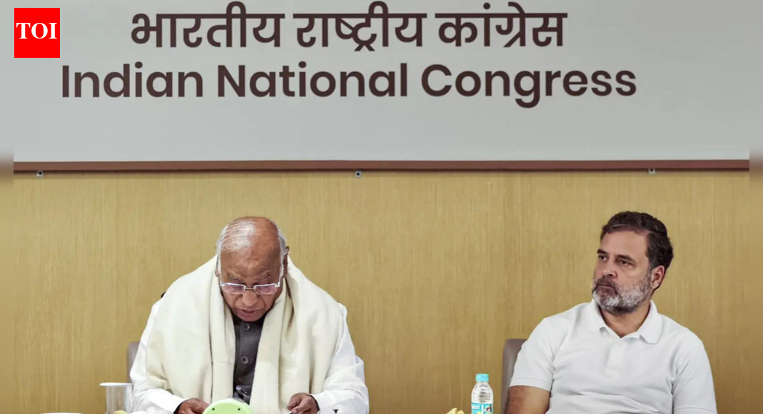 ‘Politically, organisationally, legally’: Congress ‘must fight’ SIR, says Rahul Gandhi; alleges flaws in implementation