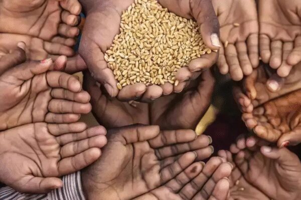 The government has removed over two crore ineligible beneficiaries from the PMGKAY free foodgrain scheme in recent months, while simultaneously adding new eligible individuals. To enhance transparency and accountability, an AI-powered platform, Asha, has been launched for beneficiaries to provide feedback on ration distribution in their preferred language.  NEW DELHI: Over two crore ineligible beneficiaries have been weeded out from free foodgrain scheme PMGKAY in the past four to five months while new eligible people are being included in the programme. Simultaneously, the govt on Tuesday launched an online platform that allows beneficiaries to share their feedback on ration distribution through AI-enabled calls in their preferred language.Confirming the deletion of ineligible beneficiaries, food secretary Sanjeev Chopra said the exercise has been undertaken to ensure better targeting of “rightful” beneficiaries while eligible beneficiaries are being added to the scheme by state govts.Officials said the food and public distribution department at the Centre identified the ineligible beneficiaries on parameters such as deceased, income tax payee, govt service, four-wheeler ownership and directors of entities. The list was shared with state govts for verification and then deletion of names.To ensure that beneficiaries are getting the right quality of foodgrain and are not being charged, food and consumer affairs minister Pralhad Joshi launched the Anna Sahayata Holistic AI Solution (Asha) to collect direct beneficiary feedback on ration quantity, quality and payment-related issues. The system uses multilingual translation, sentiment analysis, automated grievance categorisation and real-time dashboards for administrators.The platform will “enable us to get granular sentiment insights up to the ration shop level for strengthening data-driven decision-making under the food security scheme,” said an official.The food secretary said Rs 5 lakh will be spent every month for this operation and added that the cost would have been much higher if done through call centres.End of ArticleFollow Us On Social MediaVideosAnmol Bishnoi, Accused In Baba Siddique Murder Case, To Be Deported To India From USIndia-Russia Ties: EAM Jaishankar Meets President Putin In Moscow’Some Last-Mile Issues…’: Piyush Goyal Remarks On Trade Pact With EU And US, India’s Export GrowthThe Ghost Of Bastar Falls: What Madvi Hidma’s Death Means For India’s War Against Maoist InsurgencyBathani Tola: 30 years on, justice still elusive for Bihar’s worst caste massacreShashi Tharoor Praises PM Modi Again, Sparks Fresh Congress Rift After Attending Goenka Lecture’I Did Not Say…’: Prashant Kishor Takes U-Turn On Vow To Quit Politics If JDU Wins Bihar PollsIndia Will Sign Trade Deal Only When It Is ‘Fair, Equitable And Balanced’: Piyush GoyalNarayana Murthy Sparks Fresh Storm By Urging to Adopt China’s 996 Model, Work 72 Hours Every WeekIran Halts Visa Waiver For Indians Amid Criminal Exploitation And MEA Safety Warning Alerts123Photostories8 underrated South Indian rice dishes perfect for a light and healthy dinner5 animals that can survivein extremely cold temperatures6 lower ab workouts to strengthen your coreThis Guava Paneer Avocado Salad has 25 gms protein and why it needs a place in daily breakfast5 natural home remedies to detoxify the liverChia seeds in water vs chia seeds in milk: Which is more beneficial for healthFrom teeth-brushing battles to screen time: Kareena Kapoor Khan’s honest parenting tales7 Japanese techniques to overcome laziness and boost productivity in life10 date ideas in New York City that are not drinking or movies‘Dhurandhar’s Sara Arjun to Ananya Panday: 5 best celeb outfits of the day123Hot PicksDelhi AQI TodaySheikh Hasina VerdictBihar Government FormationGold rate todaySilver rate todayPublic Holidays NovemberBank Holidays NovemberTop TrendingDak Prescott FianceSophie CunninghamJake Paul GirlfriendKevin DurantBecky LynchDetroit Tigers WifeAuston MatthewsGiannis AntetokounmpoMichael PhelpsWho is Ella Hakkinen