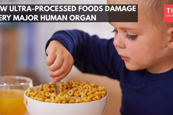 Just a bite? How ultra-processed foods damage every major human organ |