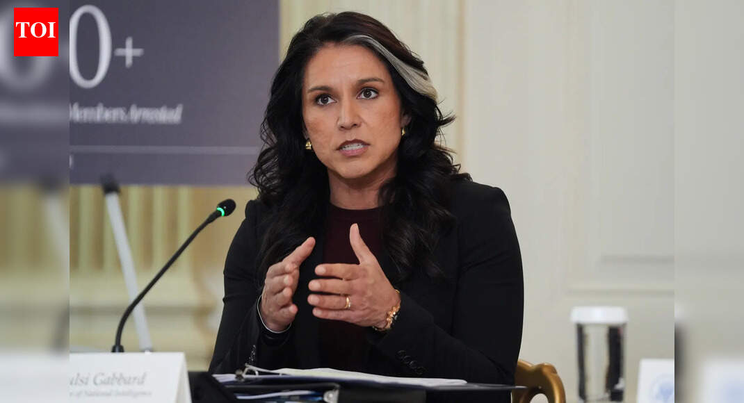 ‘Islamist terrorism is the greatest threat to United States’: DNI Tulsi Gabbard warns of ‘rising extremism’ | World News