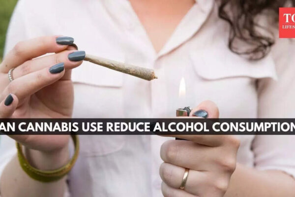 California sober trend: Can cannabis use reduce alcohol consumption? |