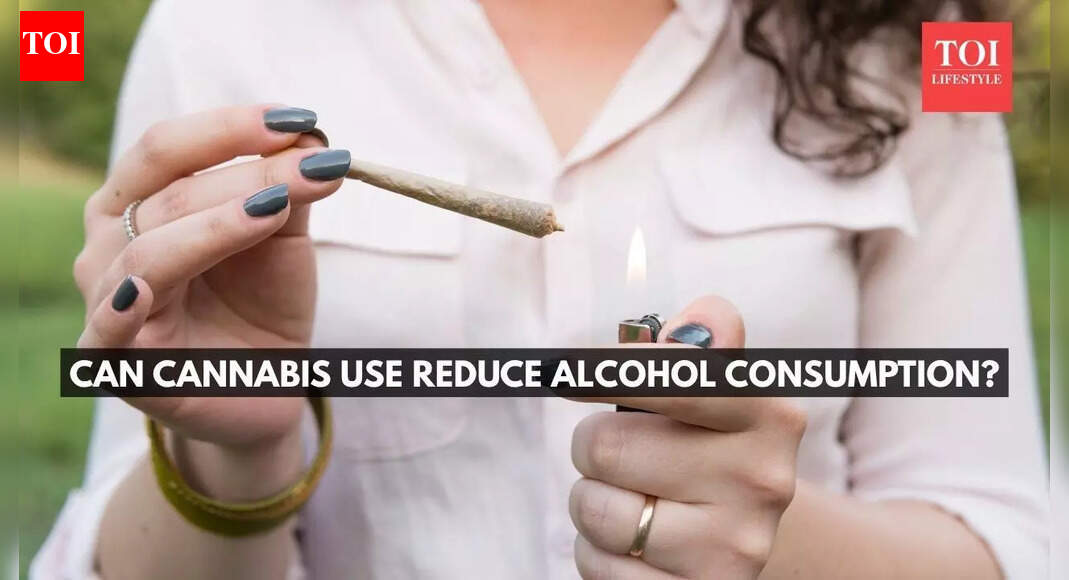 California sober trend: Can cannabis use reduce alcohol consumption? |
