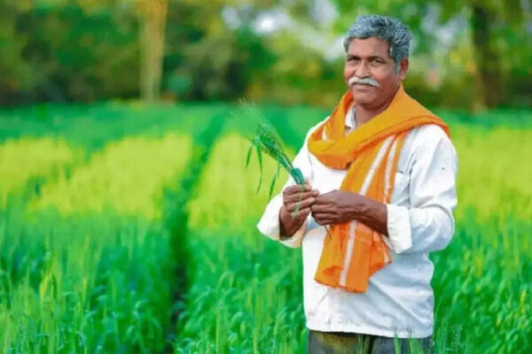PM Kisan 21st installment today: Eligible farmers receive Rs 2,000; how to track status & beneficiaries