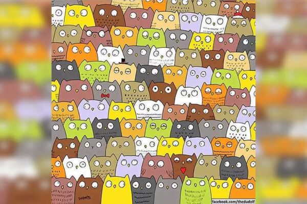 Optical illusion: Only people with eagle eyes can spot the cat hidden among owls in 7 seconds |