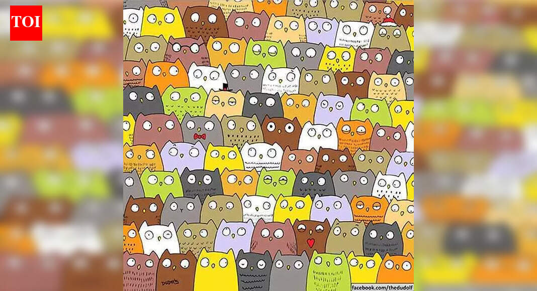 Optical illusion: Only people with eagle eyes can spot the cat hidden among owls in 7 seconds |