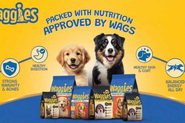Reliance forays into petcare mkt with ‘Waggies’