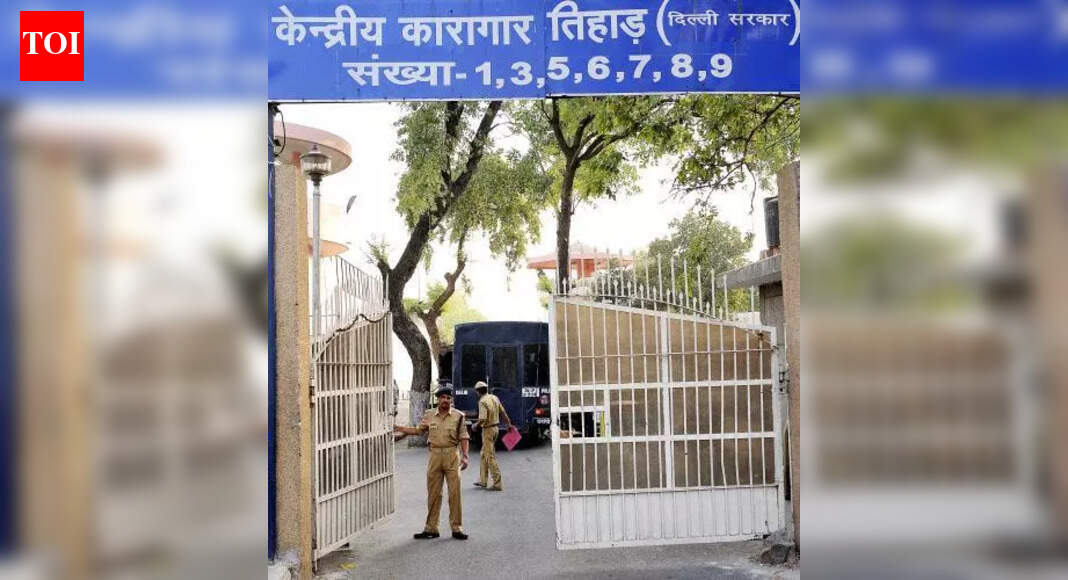 New Delhi: National Investigation Agency (NIA) on Wednesday arrested gangster Lawrence Bishnoi’s brother, Anmol, upon his deportation from US. He arrived here on a special flight around 2pm, was produced in court and taken on a remand of 11 days. The agency arrested him in a case registered in 2022 to investigate an alleged nexus between criminal gangs in India and Babbar Khalsa International (BKI), a designated terrorist organisation, to raise funds, recruit youths and carry out terror strikes in the country. Anmol was accused of providing shelter and logistic support to shooters of the gangs and ground operatives in America. “He was also allegedly engaged in extortion in India from foreign soil with the help of other gangsters,” NIA said. The agency intends to ascertain details of social media accounts through which the Lawrence Bishnoi group has been taking responsibility for various crimes. Following his NIA custody, Anmol is likely to be handed over to police in Mumbai and Punjab in connection with the murder cases of NCP neta Baba Siddique and rapper Sidhu Moose Wala. Anmol’s family claimed that he is being punished for his brother’s crimes. “I request the PM and home minister to ensure Anmol’s security. The way gang war is happening, we are apprehensive… Our family has always respected the law. Whether Anmol is a culprit… it is part of the inquiry. His biggest crime is that he is the younger brother of Lawrence, but he has never been involved in the world of crime,” said his cousin, Ramesh Bishnoi. Urging NIA to ensure his safety, the court ordered Anmol’s medical examination to be conducted every 48 hours and his journey from court to the agency headquarters and vice versa video-recorded on completion of remand. NIA was asked to submit a report on measures taken for his security. Anmol had been absconding since 2022, NIA said. “He is the 19th accused to be arrested for his involvement in the terror-syndicate led by his jailed brother, Lawrence. Anmol was chargesheeted by NIA in March 2023 after investigation established that he had actively aided designated terrorist Goldy Brar and Lawrence in the commission of various acts of terrorism in the country between 2020 and 2023,” the agency claimed.Operating closely with various Bishnoi gang associates, Anmol continued to run syndicates and execute acts of terror from US, using the gang’s operatives on the ground, NIA said. Anmol was detained in California’s Sacramento last Nov for illegal entry after which FBI confirmed his identity through DNA and voice sample matches. He sought asylum while he was lodged at Pottawattamie County prison in Iowa. The facility’s website showed he was being investigated by Immigration and Customs Enforcement, which deals with cross-border crimes and undocumented immigration in US. An incident of firing at actor Salman Khan’s house in Mumbai in April last year put Anmol under the lens. A Facebook account, purportedly belonging to him, claimed responsibility for the incident. Later, police chanced upon an audio recording of a conversation purportedly between Anmol and Vicky Gupta, one of the shooters. On Oct 12, 2024, Siddique was gunned down outside the Bandra (East) office of his MLA son, Zeeshan. Anmol was named in a chargesheet filed by Mumbai Police. Soon, NIA announced a reward of Rs 10 lakh for information leading to his arrest. Anmol was also accused of providing arms and logistical support to the shooters of Moose Wala. He had allegedly fled India on a forged passport in the name of Bhanu Pratap a month before the rapper was killed on May 29, 2022.About the AuthorAbhayAbhay is a Special Correspondent at The Times of India, Delhi, with extensive experience in investigative journalism. Since 2014, he has been covering crime and prisons, providing in-depth analysis and thought-provoking reports.Read MoreEnd of ArticleFollow Us On Social MediaVideosNitish Kumar To Take CM Oath For Record 10th Time At Patna’s Gandhi Maidan, PM Modi To AttendBangladesh To Seek Interpol’s Help To Extradite Sheikh Hasina From India’Fatwa Issued…’: BJP Jabs ‘Indira Nazi Congress’ For Criticising Tharoor Over Modi Speech PraiseRussia Showcases Missile-Only Pantsir SMD-E Air Defence System At Dubai Airshow 2025’We Hit India…’: Pakistani Leader’s Explosive Admission Unmasks Islamabad’s Terror Links Again’Can’t Rule Out All-Out War’: Pakistan’s Khawaja Asif Rattled Over Army Chief’s Sindoor 2.0 WarningSydney Horror Crash Kills 8-Month Pregnant Indian After Teen BMW Driver Slams Into Family WalkIndia Expands Its Diplomatic Presence In Russia As Jaishankar Highlights Strategic New ConsulatesTaliban Trade Minister Lands in Delhi Amid Major Afghan Shift Toward India After Pakistan ConflictChina’s Propaganda Strike On India Exposed, US Report Details Fake Jet Debris And J-35 Sales Tactics123PhotostoriesKajol’s films that open a quiet doorway back to nineties nostalgia5 national parks to visit in South America for adventure loversAre you eating chia seeds the wrong way? Harvard doctor reveals the 3 healthiest ways to consume them3 Ayurveda-approved drinks to reduce fatty liver naturally10 regional egg dishes from different parts of India5 beautiful white animals that look like furry snowballs8 things life teaches us the hard wayFrom Rajkummar Rao-Patralekhaa to Deepika Padukone-Ranveer Singh: Bollywood’s adorable baby girl squadFrom protection to independence: Smriti Irani’s modern parenting mantraSalman Khan to Shanaya Kapoor: 5 viral looks of the day setting today’s style mood123Hot PicksDelhi AQI TodaySheikh Hasina VerdictBihar Government FormationGold rate todaySilver rate todayPublic Holidays NovemberBank Holidays NovemberTop TrendingTrevon DiggsTom BradyJonathan OwensDraymond GreenPatrick Kane Net Worth 2025Nadia ComaneciAsmongoldFortnite Friday Streamer Awards 2025Stefon DiggsBill Belichick