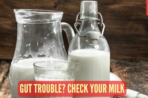 Always bloated after having milk? Harvard trained gut doctor reveals the best and worst dairy for your stomach