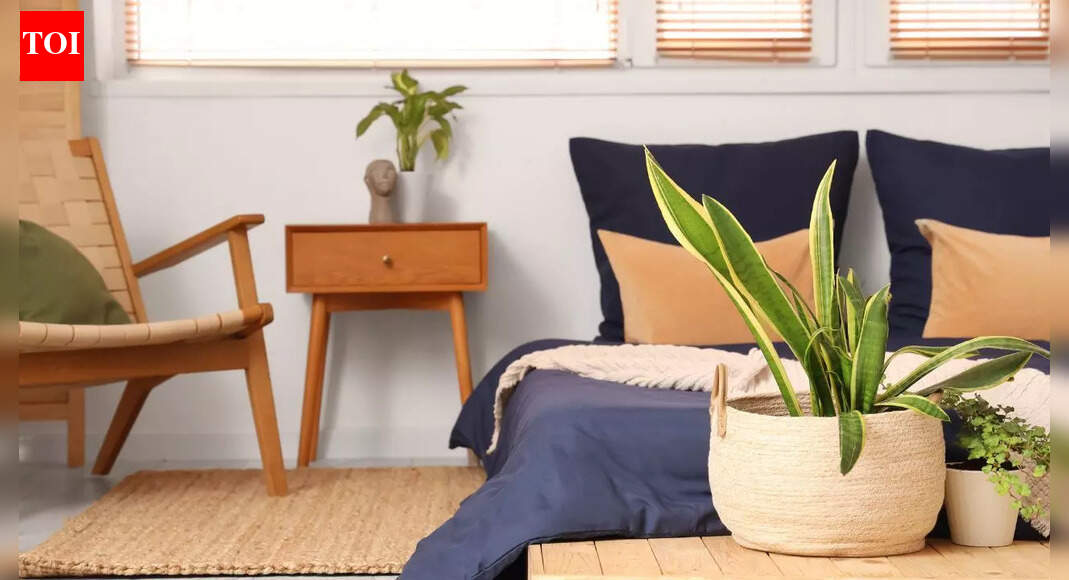 7 bedroom plants that naturally help you fall asleep faster |
