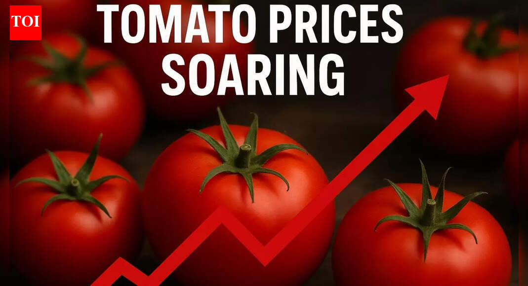 Why are tomato prices soaring? Retail prices shoot up 50% in a fortnight – here’s what’s driving the rise