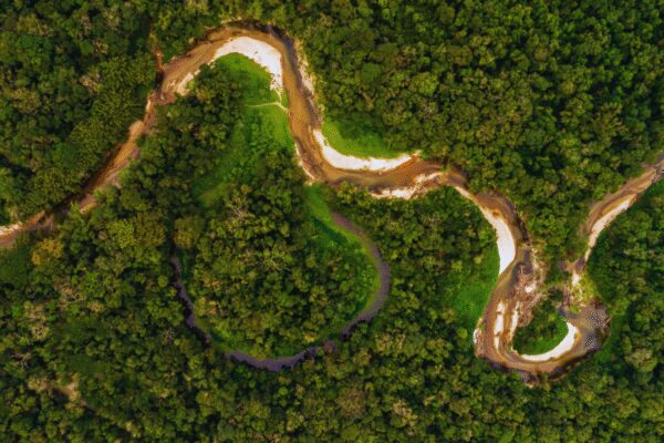 Germany pledges €1 billion to Brazil’s rainforest fund