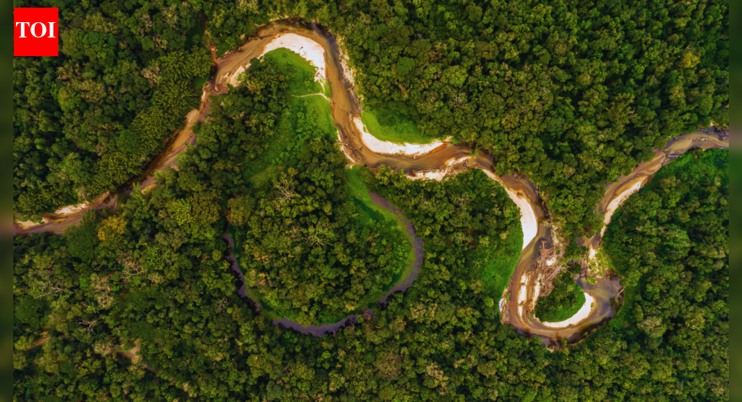 Germany pledges €1 billion to Brazil’s rainforest fund