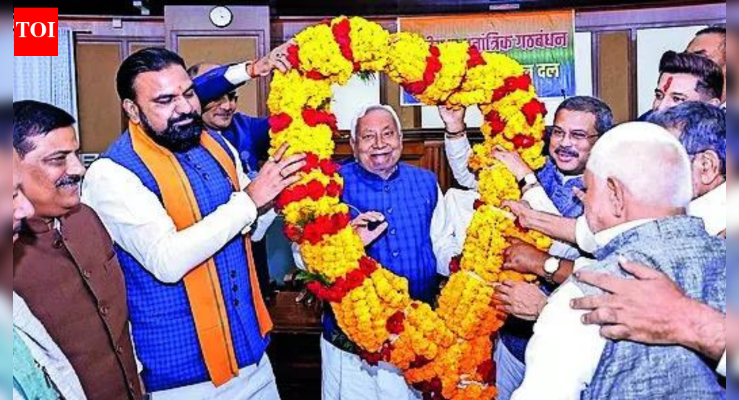 Nitish Kumar’s rise was fueled by Kurmi and Kushwaha support, and their assembly representation has now reached a new high. This surge, particularly within Nitish’s JDU, highlights the gains of these intermediary backward castes within the NDA’s social coalition, while Muslim and Yadav representation has declined.  NEW DELHI: The consolidation of Kurmis and Kushwahas – two intermediary backward castes – behind Nitish Kumar powered his rise two decades back, and as he took take oath for an unprecedented 10th time as Bihar CM on Thursday, their share in the assembly also hit a high.NDA’s social coalition, which joins two ends of the caste spectrum by bringing together upper castes and Dalits – with the sprawling non-Yadav backward classes and EBCs in between – was the natural beneficiary of the alliance’s sweeping mandate, but the two backward castes have made the biggest gains, largely on the back of nearly 100% rise in the seats of Nitish’s JDU.In the 243-member assembly, Kurmis account for 25 MLAs, while Kushwahas, also known as Koeris in Bihar, have 26 MLAs. Their numbers were 10 and 16 in the outgoing House.The number of extremely backward classes (EBC) MLAs has seen a jump from 29 to 35 and that of upper castes to 72 from 63.The population of Kushwahas is 4.21% and Kurmis 2.87% in Bihar, according to a caste survey by the state govt. Kushwahas are the second-most numerous caste after Yadavs (14.26%), while Kurmis, who score best among all backward castes on development metrics like education and share in govt jobs, have been politically more organised. Nitish, too, hails from the caste.Manindra Nath Thakur, an associate professor at Centre for Political Studies in JNU, said this is a high moment for the two castes. Both trace their origin to Luv-Kush and have exhibited a shared political purpose, he said, noting that they had broken away under Nitish from a broad social alliance Lalu Prasad had formed to counter the domination of upper castes but was perceived to be hegemonised by Yadavs. Due to a fragmented EBC, which is 26% of population, excluding Muslims, and included dozens of castes, Kurmi-Koeri are in a position to lead this social alliance, he noted.Political analyst Sanjay Kumar, however, cautioned against seeing any long-term implication in the rise of the number of Kurmi-Kushwaha MLAs, saying it was election-specific. It is natural because JDU has performed exceptionally well, and the party enjoys a strong support base in these castes, he added.Enthusiastic backing of the governing alliance by Kushwaha voters also show-ed the suggestion that the community was drifting away was incorrect, he added.If NDA’s sweep has taken the share of Kurmi-Kushwaha MLAs to a high, the decimation of RJD-led Mahagathbandhan has had an opposite impact on the numbers of representatives from Muslims and Yadavs, who have been its solid supporters. Muslim MLAs are at an all-time low of 11 in the new assembly, while Yadavs’ tally has fallen to 28 from 55.End of ArticleFollow Us On Social MediaVideosIndia And Israel Launch FTA Talks; Piyush Goyal, Nir Barkat Sign Terms Of ReferenceDelhi’s Pollution Forces Australian Foreign Minister Penny Wong To Cough, Stop Her Speech MidwayJaishankar Meets Afghan Commerce Minister Azizi In Delhi; Trade, Connectivity DiscussedMEA Outlines Agenda For PM Modi’s South Africa Visit For G20 Summit In JohannesburgPenny Wong’s Cricket Banter With Jaishankar Highlights Warm, Confident India-Australia PartnershipJaishankar, Penny Wong Send A Strong India-Australia Message To China And The World on Indo-PacificIFFI 2025 Opens With A Surprise As Korean Minister Sings Vande Mataram And Wins Standing OvationPiyush Goyal’s 10 D’s Pitch in Israel Recasts India As Future-Ready for Worldwide InvestmentsDelhi Student Suicide Case: Massive Protest Outside School After Note Alleges Harassment By TeachersPiyush Goyal Links India, Israel Through Shared Adversities, Predicts 7% Percent GDP Growth For FY26123PhotostoriesAkkineni Nagarjuna Rao shaping Telugu cinema with iconic performances and a magnetic presence on screenHow top Bollywood actresses are embracing a life changing new lifestyleFrom better brain function to stronger heart: 5 reasons why backward walking is excellent for youPrincess Diana finally enters the Grévin Wax Museum and yes, she’s wearing the iconic ‘Revenge Dress’Dipika Kakar breaks down after meeting her oncologist amid liver cancer treatment; says, ‘The reports are normal, but there is a constant fear and anxiety’Peripheral Artery Disease: 5 major causes, and ways to prevent it9 must-try street foods in Udaipur5 expert-approved best foods to control diabetes5 spectacular animals with the biggest horns on their heads10 father-son duos who left a mark on cricket history123Hot PicksDelhi AQI TodayBihar Minister List 2025Bihar CM Oath CeremonyGold rate todaySilver rate todayPublic Holidays NovemberBank Holidays NovemberTop TrendingJoel EmbiidSavannah JamesGiannis AntetokounmpoTrevon DiggsKris KnoblauchAdin RossCandace OwensKona TakahashiKatie JohnsonOlivia Dunne