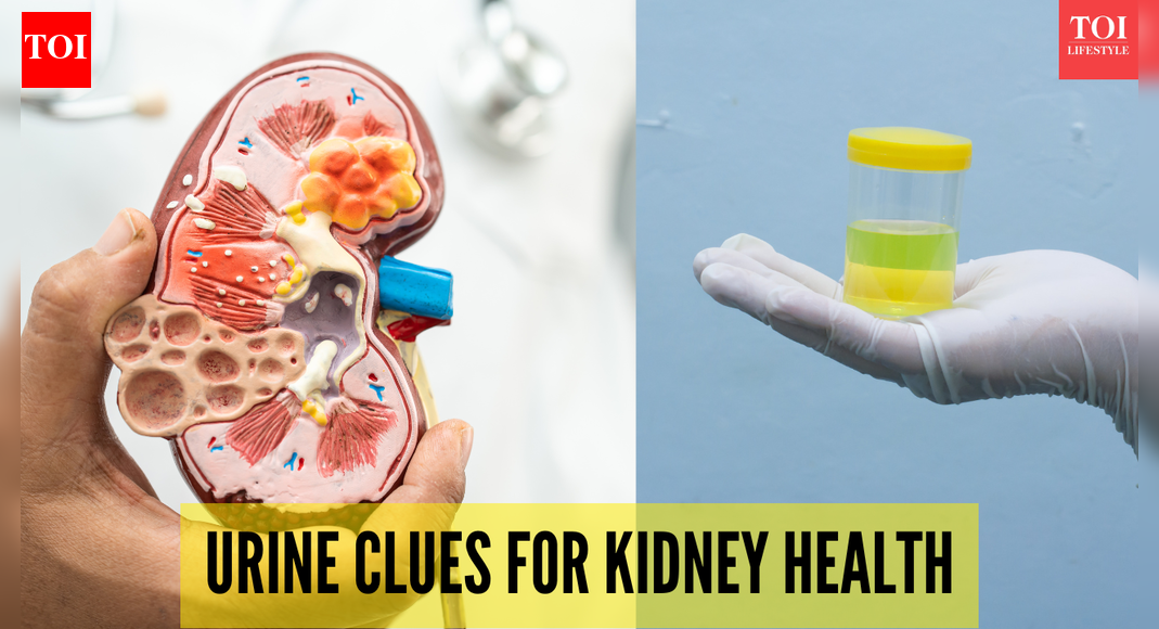 How paying close attention to your urine can protect kidney health