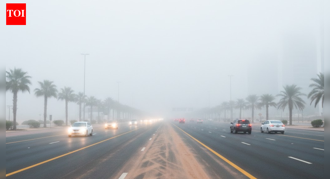 UAE Weather: Red and yellow fog alerts as visibility drops in Abu Dhabi and Dubai | World News