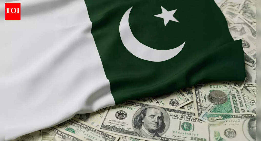 Pakistan’s economic forecast: GDP could grow 5%-6.5%; IMF flags corruption risks