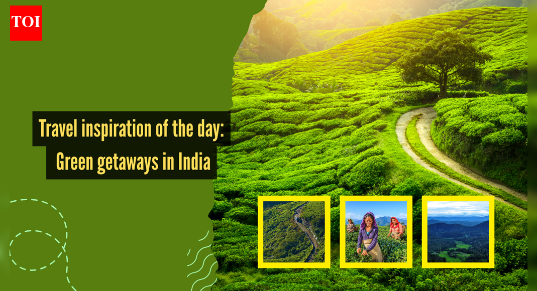 5 green getaways in India for a breath of fresh air