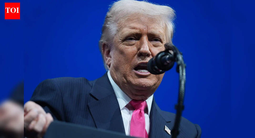 ‘Assassinate Trump and I’ll write you naughty letters in jail’: TikToker’s threat to Trump goes viral | World News
