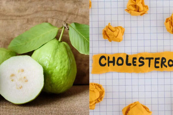 Managing cholesterol naturally with bael leaves: Benefits, compounds, and how to use them |