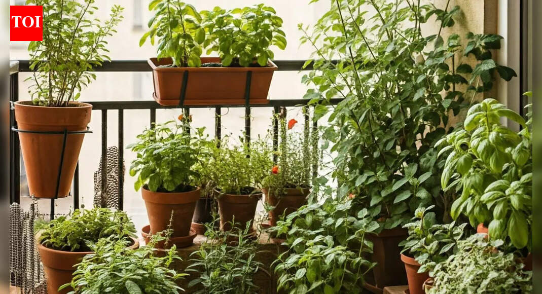 How many pot plants improve your daily wellbeing? Scientists reveal the ideal number for indoor balance |