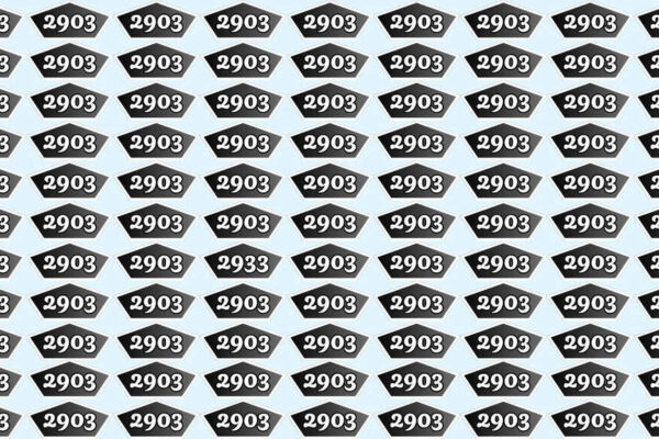 Optical illusion: Spot the number 2933 hidden among 2903 in just 9 seconds |