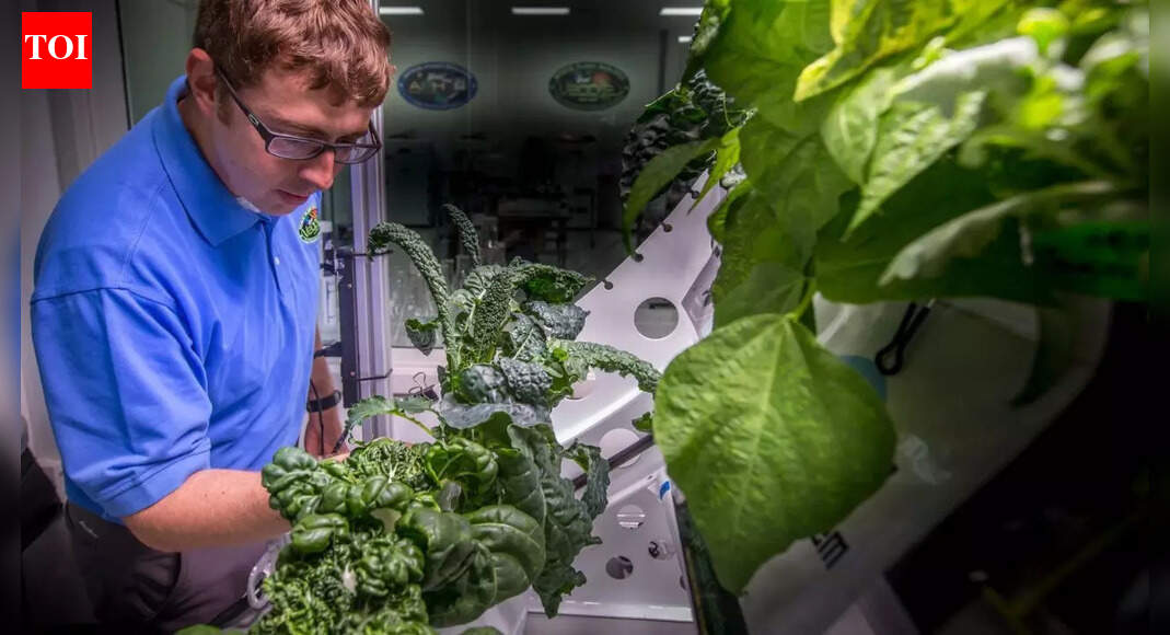 What was the first vegetable to ever grow in space