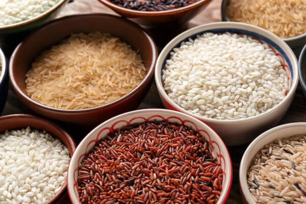 Healthy rice options: 6 varieties that support digestion and heart wellness |