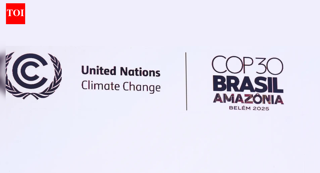 COP30 ends with mixed results, agrees to triple adaptation funds but fails on roadmap to phase out fossil fuels