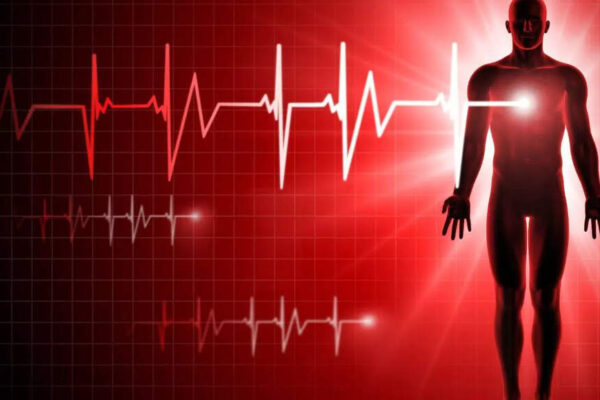 How many times does your heart beat? Discover the science behind lifelong ‘thump’ of this vital organ |