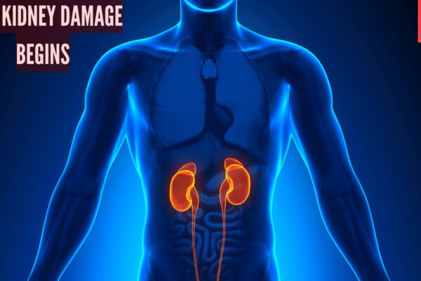 What happens to the body when kidney function begins to deteriorate