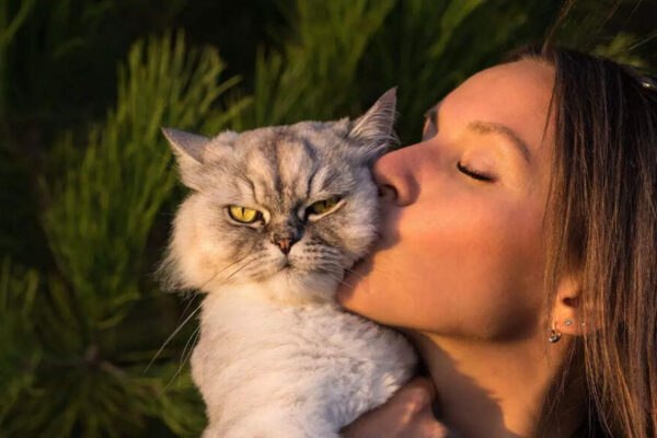 Your cat is copying you and scientists just revealed the creepy reason |