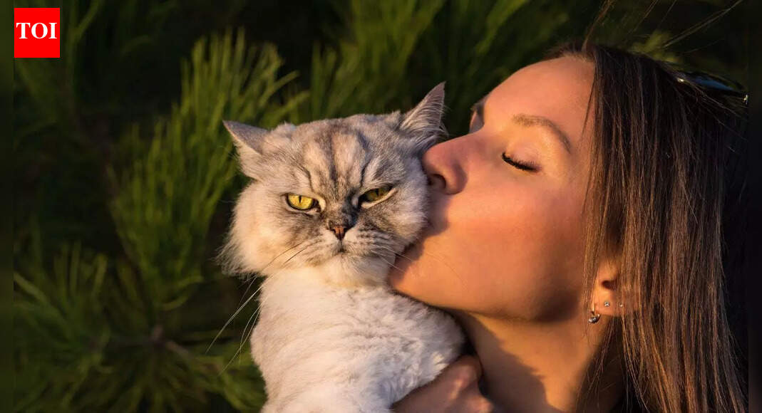 Your cat is copying you and scientists just revealed the creepy reason |