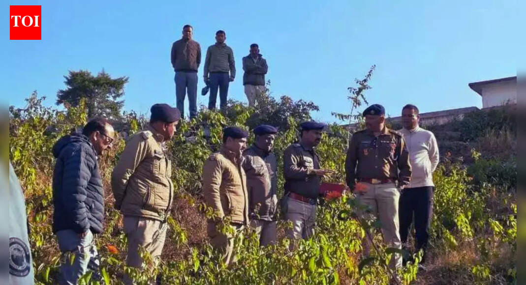 Alert sounded in Uttarakhand’s Almora: 161 gelignite sticks, over 20 kg of highly explosive material recovered