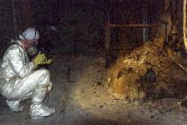 World’s most dangerous material can ‘kill you in 2 days’ simply by looking at it for a few minutes