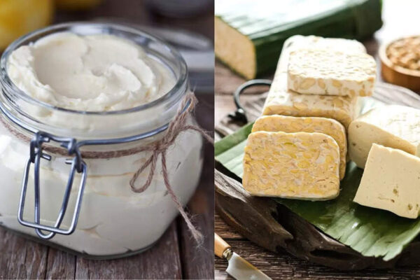 Curd vs. Tofu: What you should choose for post-menopause nutrition |