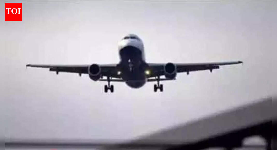 Representative image NEW DELHI: Air India has cancelled 11 flights over Monday and Tuesday to carry out “precautionary checks” on aircraft that have flown through Ethiopian Hayli Gubbi volcanic eruption ash plume. The Monday (Nov 24) cancelled flights are: AI 106 – Newark–Delhi; AI 102 – New York (JFK)–Delhi; AI 2204 – Dubai–Hyderabad; AI 2290 – Doha–Mumbai; AI 2212 – Dubai–Chennai; AI 2250 – Dammam–Mumbai & AI 2284 – Doha–Delhi. The Tuesday cancelled flights are: AI 2822 – Chennai–Mumbai; AI 2466 – Hyderabad–Delhi; AI 2444 / 2445 – Mumbai–Hyderabad–Mumbai & AI 2471 / 2472 – Mumbai–Kolkata–Mumbai.AI said on X these flights “have been cancelled as we carry out precautionary checks on those aircraft which had flown over certain geographical locations after the Hayli Gubbi volcanic eruption. Our ground teams across the network are keeping passengers updated on their flight status and are providing immediate assistance, including hotel accommodation. We are making every effort to arrange alternative travel at the earliest. We sincerely regret the inconvenience caused to passengers due to this unforeseen situation beyond our control. The safety of our passengers and crew remains our highest priority.”End of ArticleFollow Us On Social MediaVideosNew Tripura BSF IG Intensifies Border Vigilance Amid Bangladesh InstabilitySpectacular Tribute: 350th Martyrdom Day of Guru Tegh Bahadur Marked with Light-&-Sound ShowSecond Day of Guru Tegh Bahadur’s 350th Martyrdom Tribute Marked with Devotion in Punjab“Indian market offers smooth trade opportunities,” says ASSOCHAM Secretary‘Why? Why? Why?’ Mamata Slams EC, Flags ‘Unusual & Alarming’ Moves Ahead of Bengal Polls’Doesn’t Deserve LoP Post’: BJP Slams Rahul Gandhi For Missing CJI Surya Kant’s Oath CeremonyAs Pakistan Halts Afghan Transit, Kabul Boosts India Partnership And Fast-Tracks The Chabahar RouteIndia’s Soft Power Rises As Jaishankar Expands Global Gita Mahotsav, Kurukshetra Festival OutreachPunjab: Anandpur Sahib Hosts 3-Day Tribute on Guru Tegh Bahadur’s 350th Martyrdom Year’They Said Arunachal Is China’: Indian Woman Alleges Harassment After Passport Rejection In Shanghai123Photostories10 things every teenage girl needs to know from her parentsMahabharat: Rare, unique and beautiful baby boy names inspired by the Indian epicEthiopia volcanic ash: How to explain this to your child (in simple way)7 foods that naturally warm the body7 ways to deal with an avoidant partnerDharmendra’s final curtain: A journey through his rarest unseen memoriesFind your life path number and understand what’s coming next in your lifeTop oncologist shares 5 foods that can help starve cancer and lower risk10 phrases to raise an emotionally mature childDouble the stardom: Shah Rukh Khan and Salman Khan’s sharp power-suit moment breaks the internet123Hot PicksDelhi AQI TodayNew Labour CodeCyclone SenyarGold rate todaySilver rate todayPublic Holidays NovemberBank Holidays NovemberTop TrendingTatsuya ImaiBlake LivelyJoe Thornton Net WorthStem OPT ExtensionMLB Trade RumorsTravis TurnerBrad MarchandTyson FuryDrake LondonDenver Nuggets vs Memphis Grizzlies