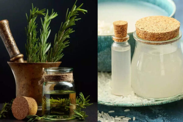 Rosemary water vs. rice water: Which is better for hair health and growth |