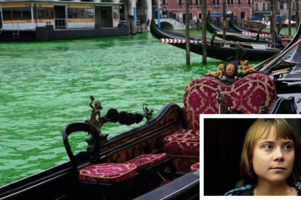 Get out: Greta Thunberg banned from Venice for pouring green dye into Grand Canal in protest