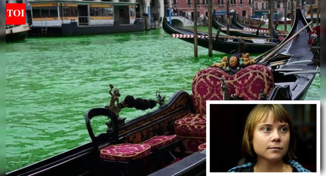 Get out: Greta Thunberg banned from Venice for pouring green dye into Grand Canal in protest
