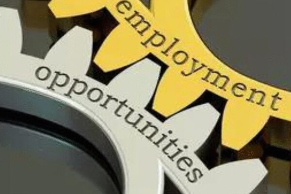 Informal sector jobs hold steady in September quarter, digital use rises
